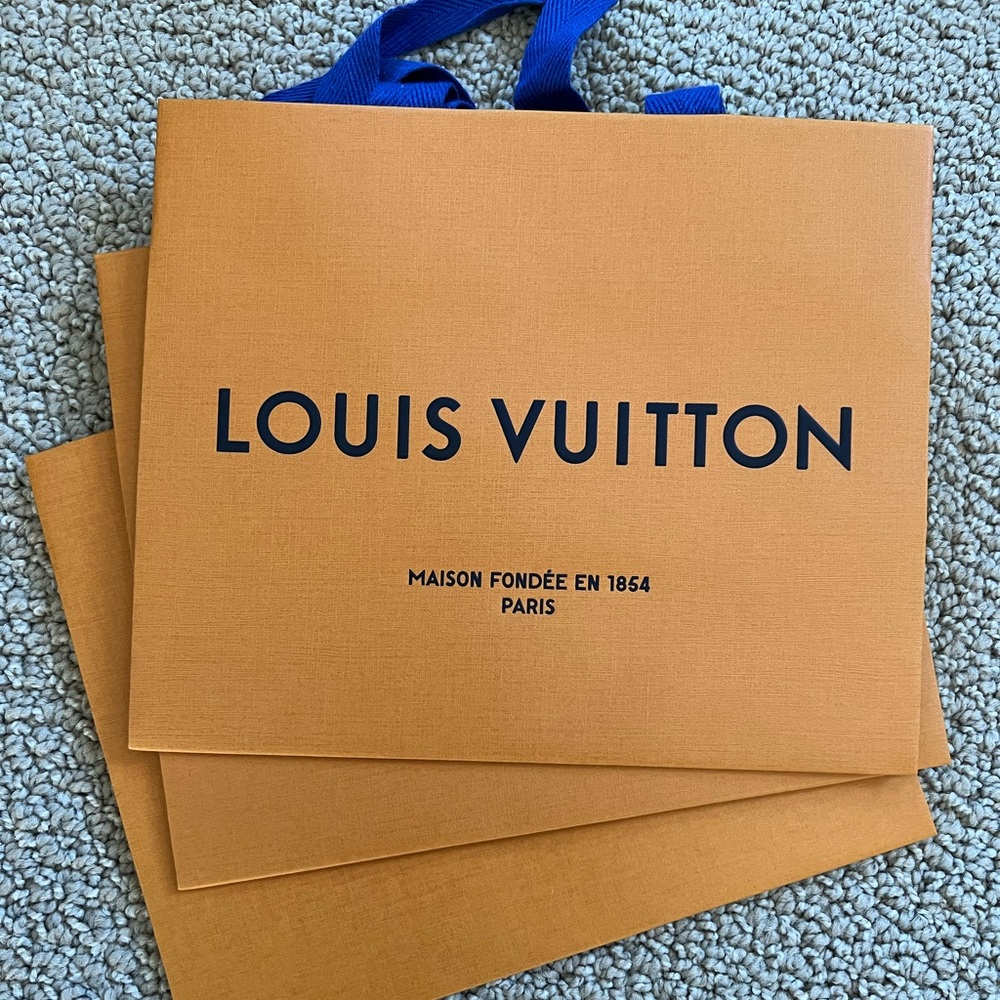 Louis Vuitton gift bags (3 total)